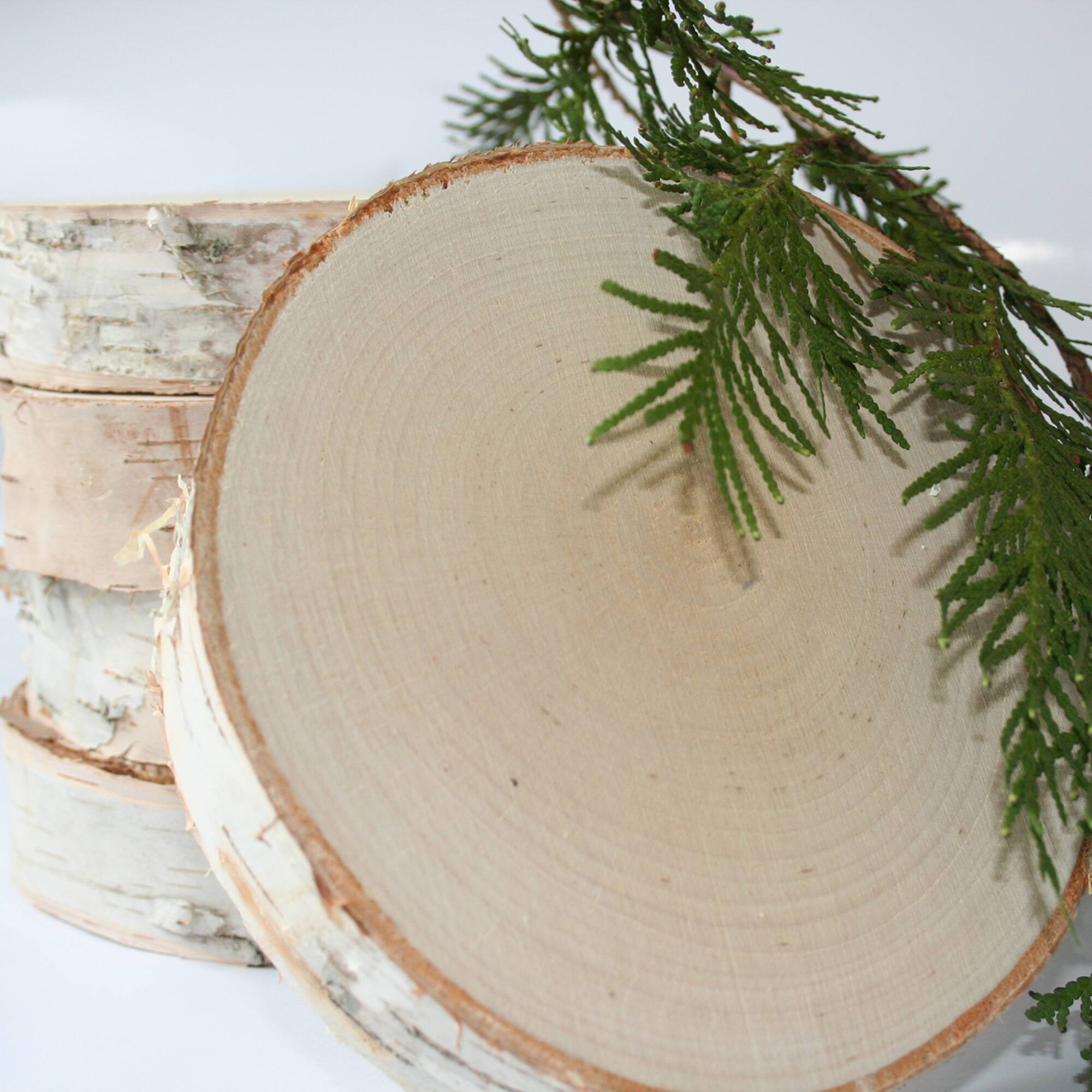 Wilson® Enterprises 9" Thick Birch Rounds, 4ct.